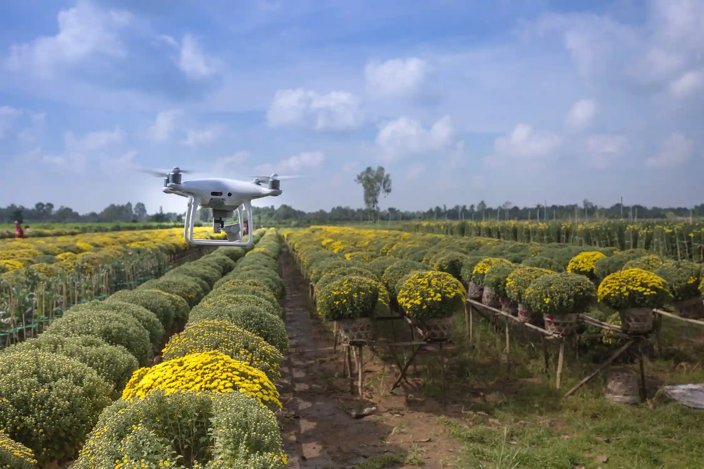 drone flying in a greenfield