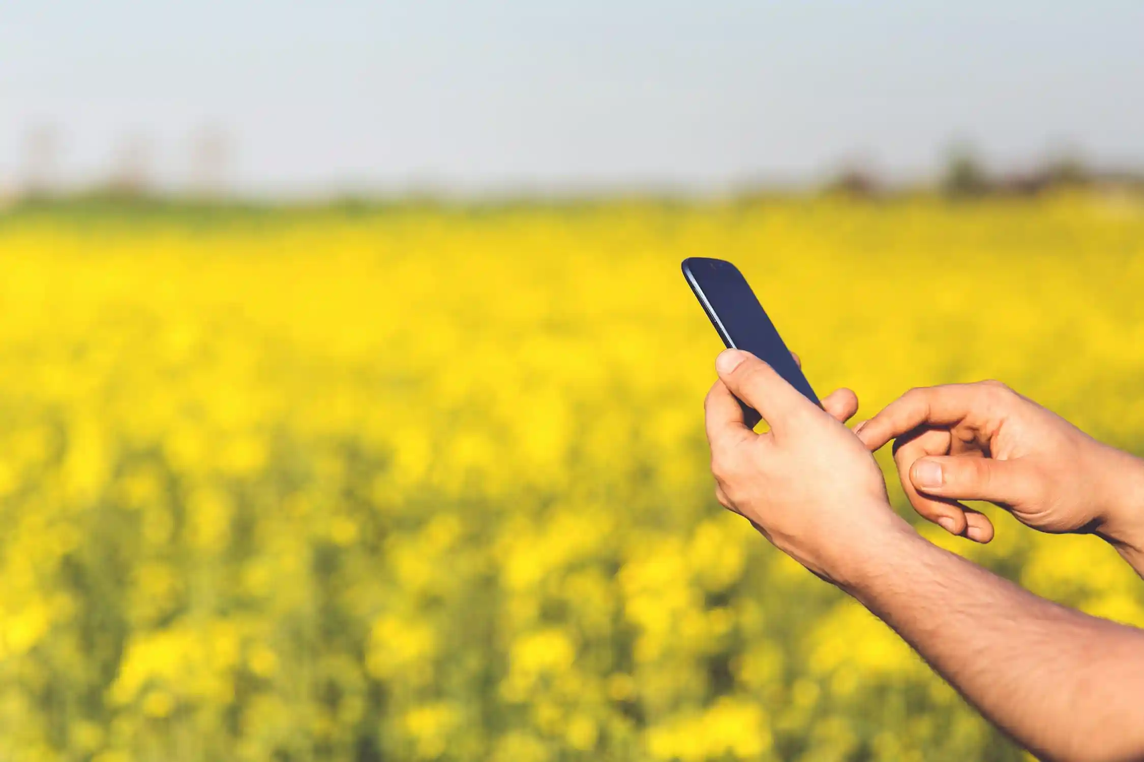 a hand holding a smartphone in the field